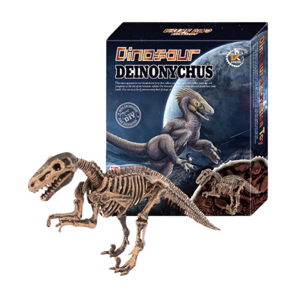 Dino Fósil Kit De Excavación