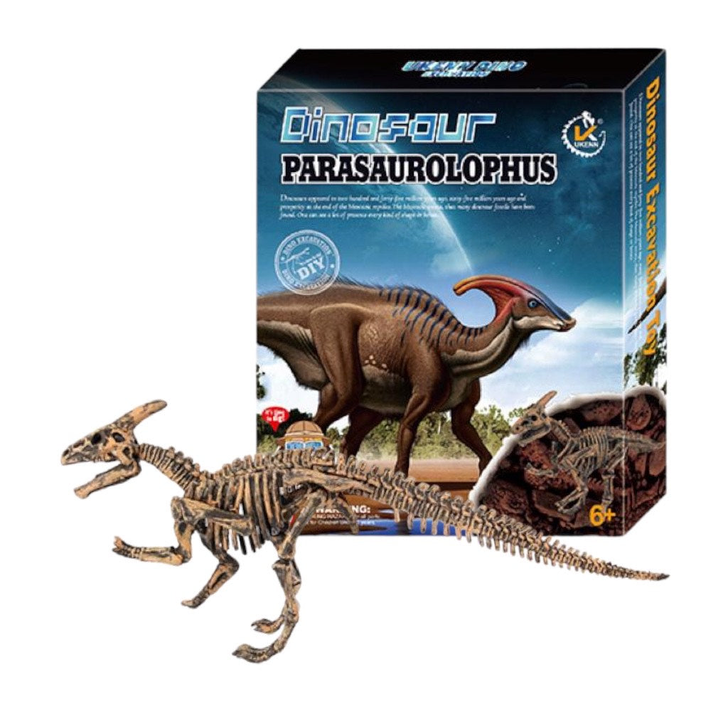 Dino Fósil Kit De Excavación